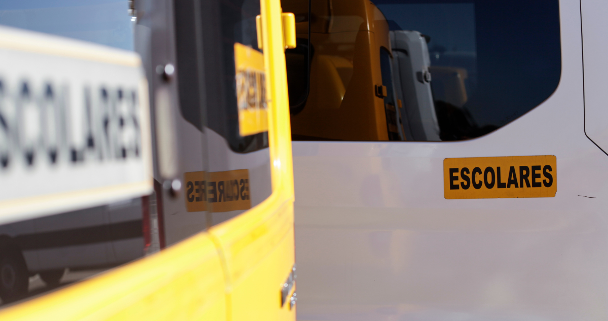 Escuela Diferencial en Valdivia sin Transporte Escolar: Apoderados Exigen Solución Urgente