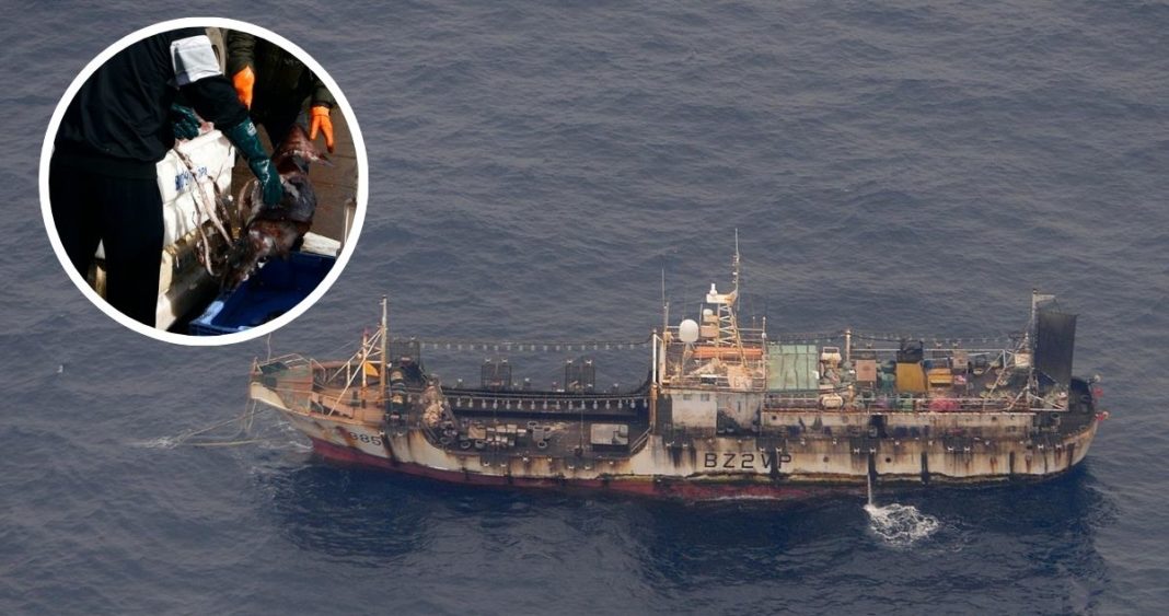 Flota china amenaza el sustento de los pescadores artesanales chilenos