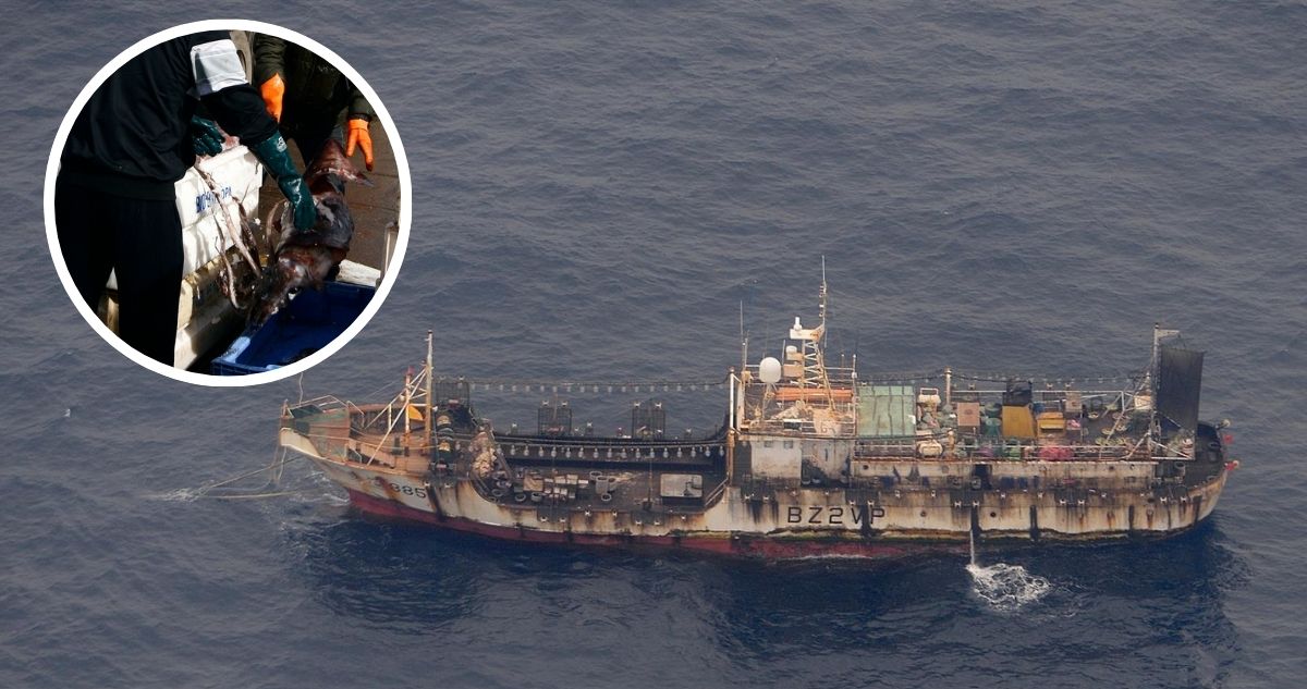 Flota china amenaza el sustento de los pescadores artesanales chilenos