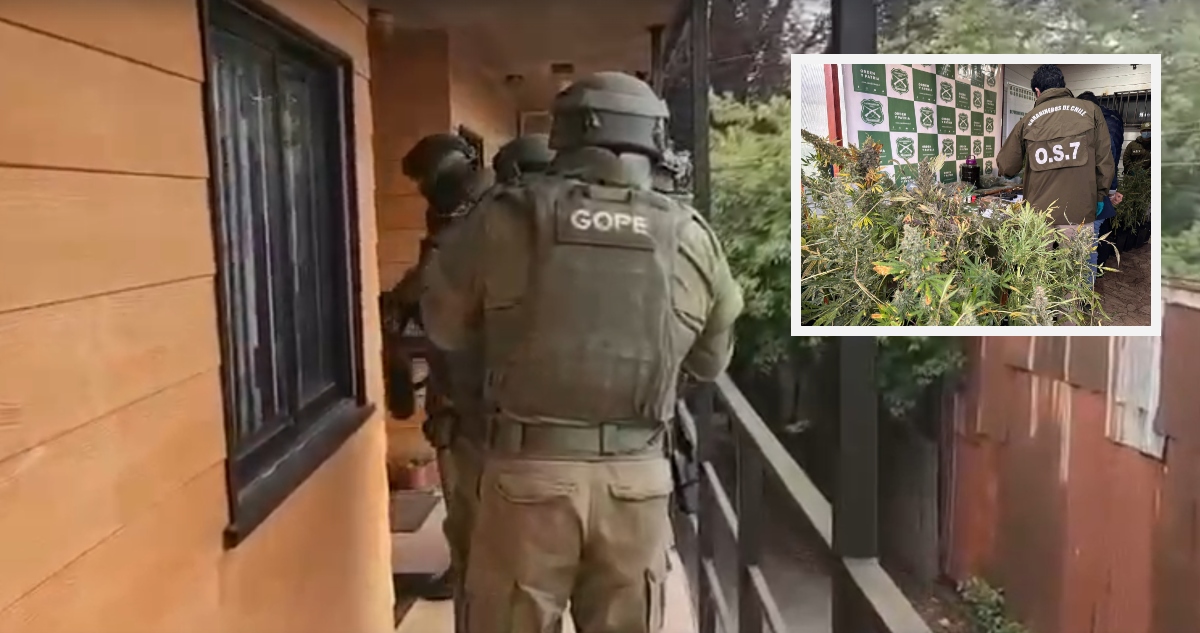 Golpe Contundente al Narcotráfico: Incautan Más de $300 Millones en Drogas en Valdivia