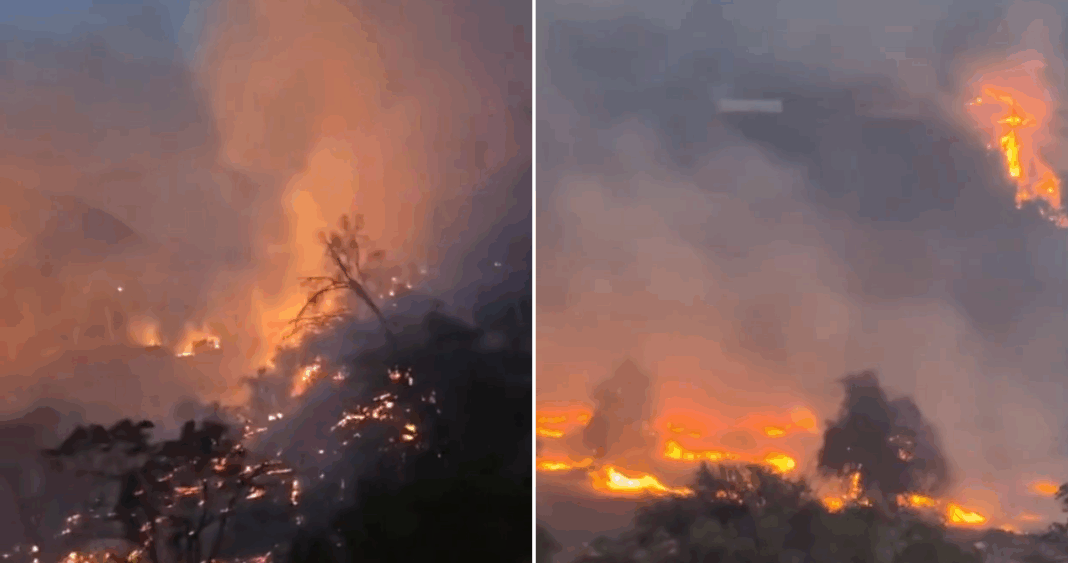 Incendio Forestal Devasta Viviendas en Monte Patria: Cerca de 200 Personas Evacuadas