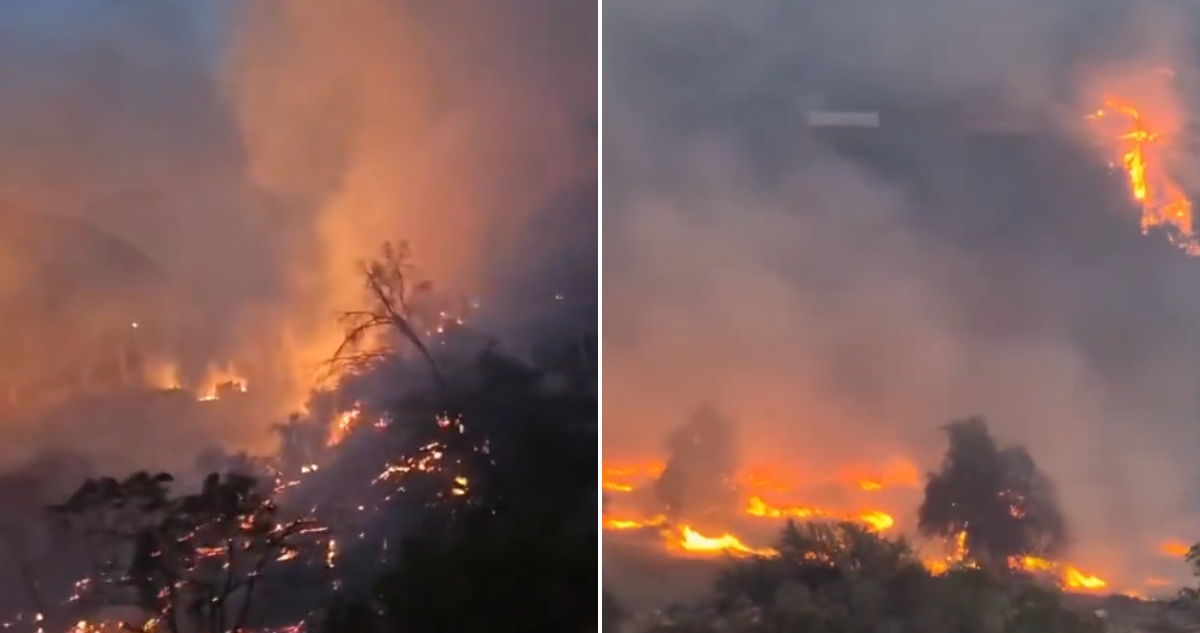 Incendio Forestal Devasta Viviendas en Monte Patria: Cerca de 200 Personas Evacuadas