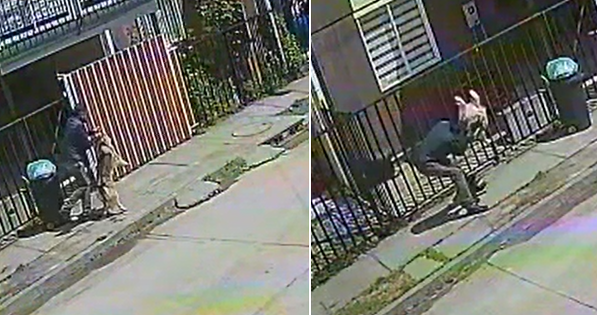 Indignante Caso de Maltrato Animal: Hombre Golpea y Arrastra a su Perro en Plena Calle