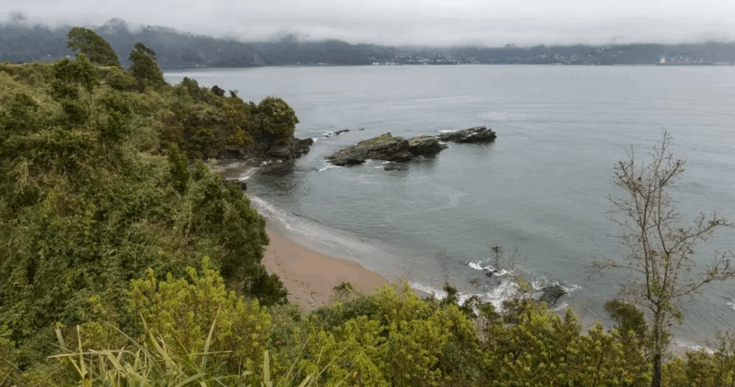 Isla Mancera: Barcazas Ofrecen Mejor Conectividad y Ahorros para Residentes