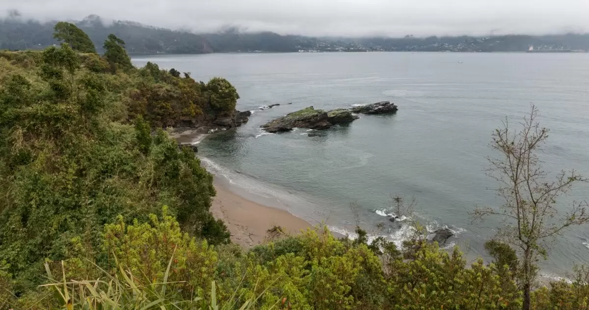 ._temp_Isla Mancera Barcazas Ofrecen Mejor Conectividad y Ahorros para Residentes Isla Mancera: Barcazas Ofrecen Mejor Conectividad y Ahorros para Residentes