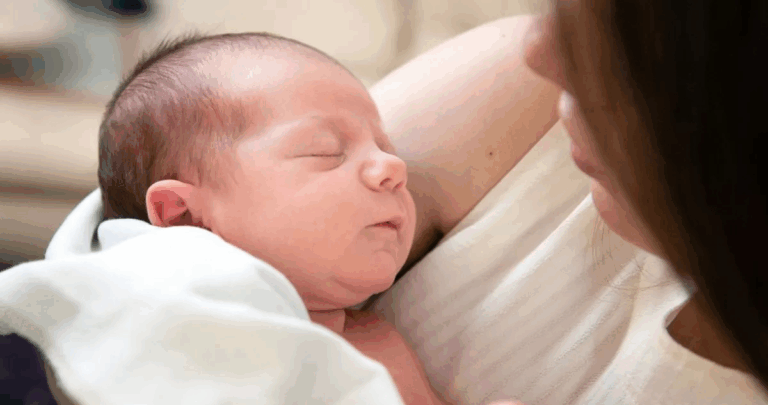 La Caída Histórica de la Fecundidad en Latinoamérica: Claves de una Transformación Demográfica