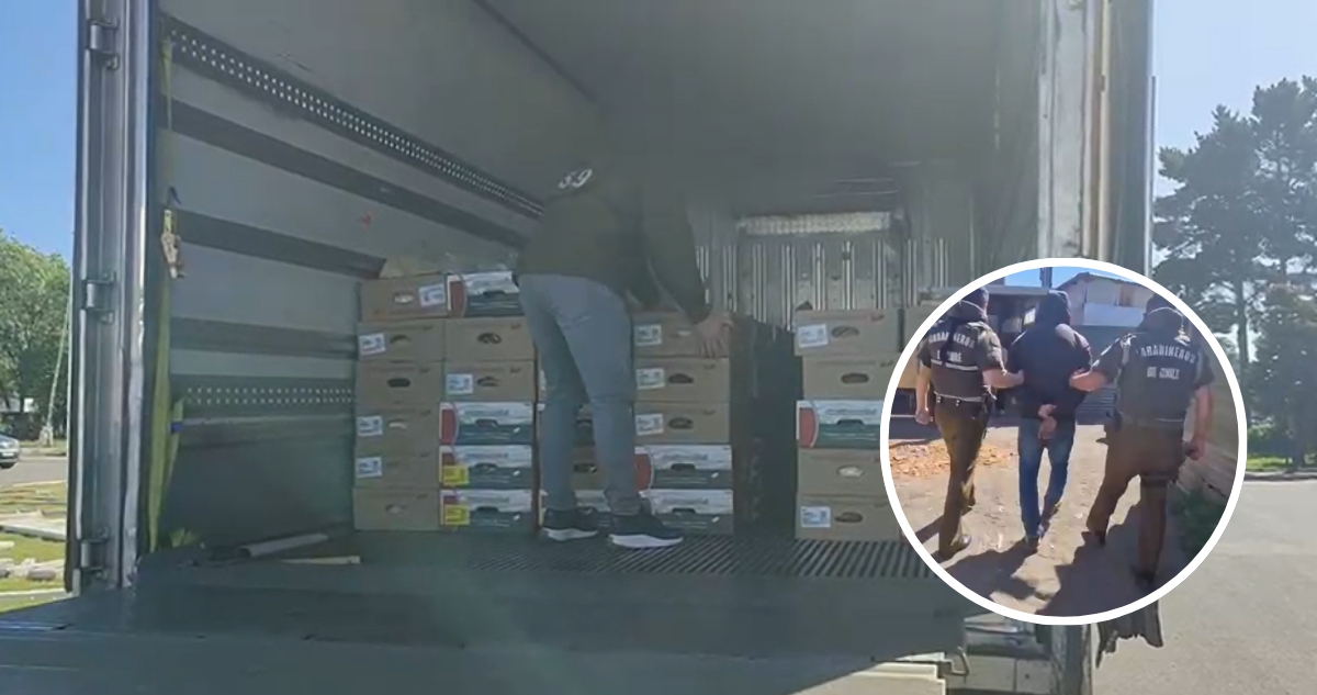 Millonario Robo de Carne: Camión Saqueado y Recuperación Parcial en San Pedro de la Paz