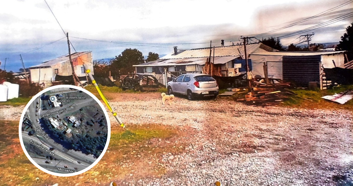 Municipalidad de Puerto Montt Ordena Desalojo de Viviendas Ilegales en Terreno Aledaño