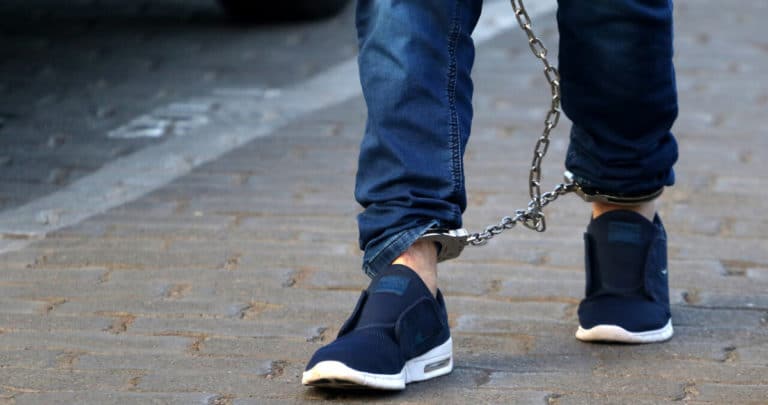 Operativo Policial Masivo en La Araucanía: 256 Detenidos en Intensas Fiscalizaciones