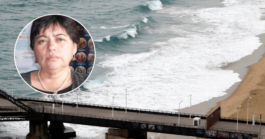 Pescadores Artesanales Denuncian Influencia Económica Extranjera en Ley Lafkenche