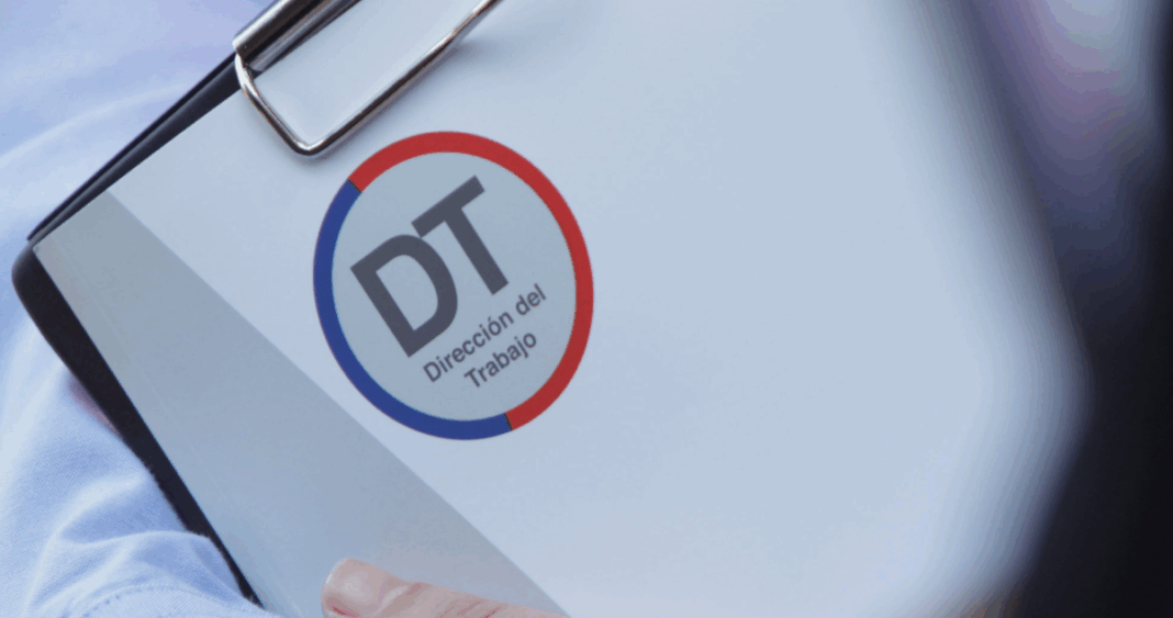 Radiografía Laboral de Los Ríos: Luces y Sombras en la Empleabilidad Regional