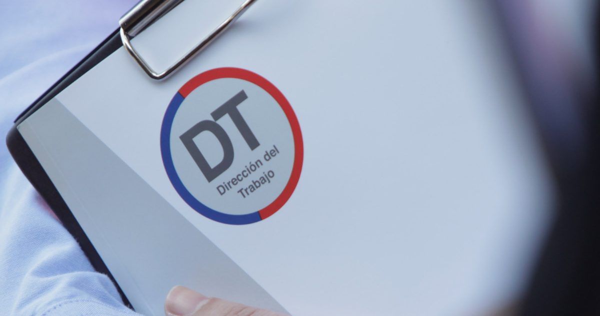 Radiografía Laboral de Los Ríos: Luces y Sombras en la Empleabilidad Regional