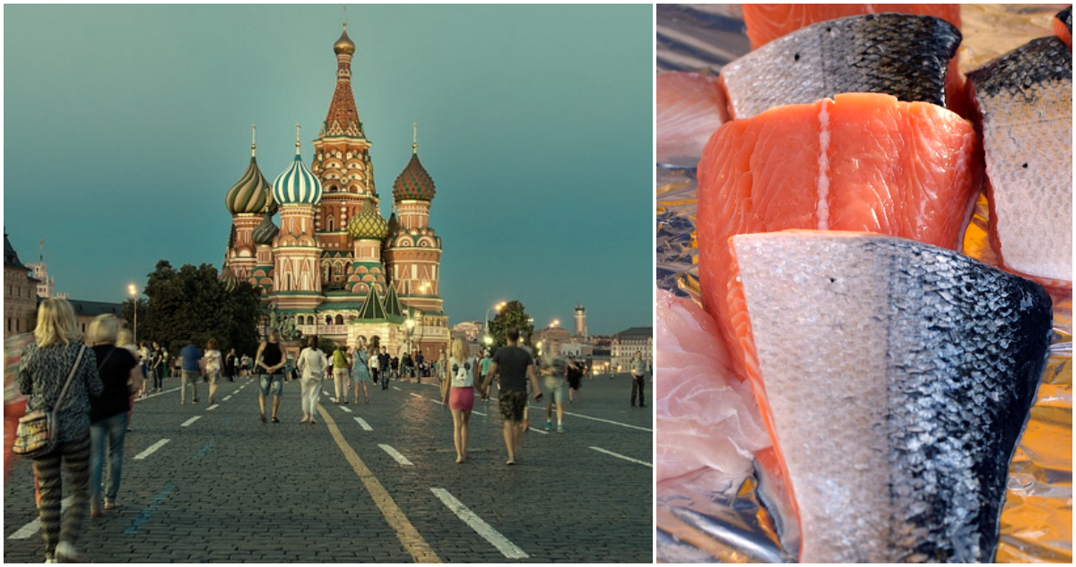 Rusia Reabre Puertas a Productos Marinos Chilenos, pero Suspende Temporalmente a 7 Empresas