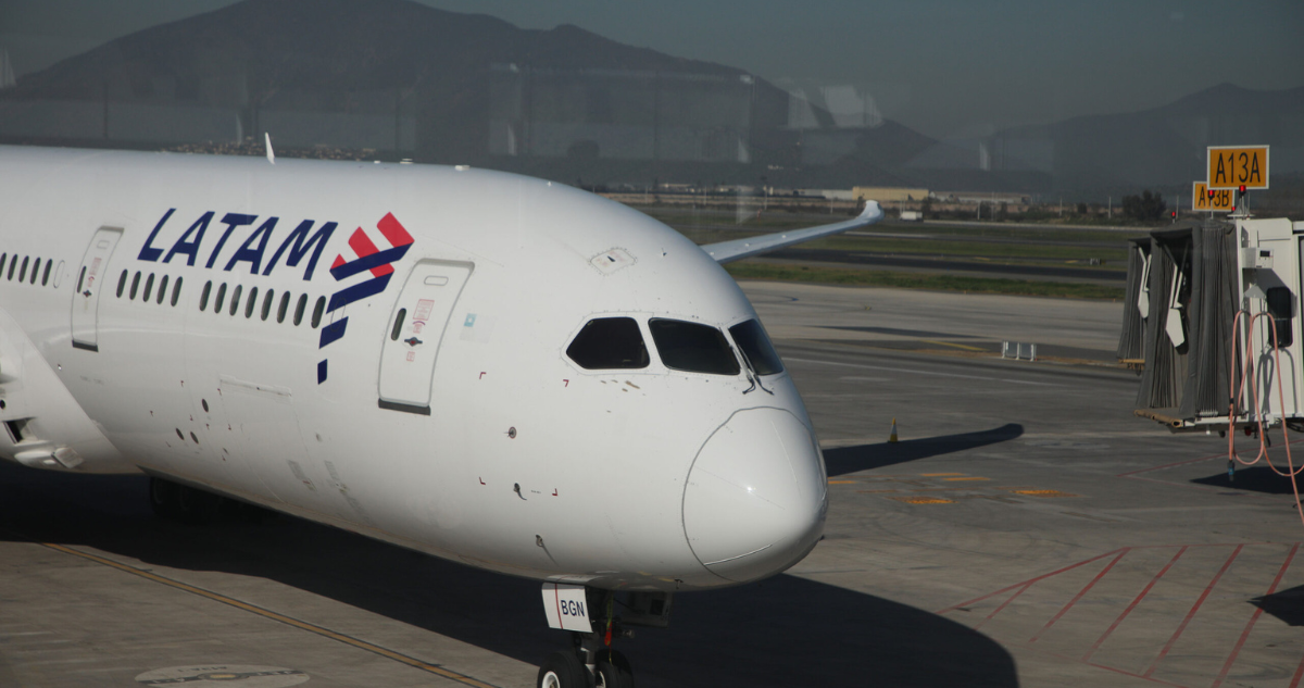 Vuelo de Punta Arenas a Santiago cancelado por ingesta de aves en los motores