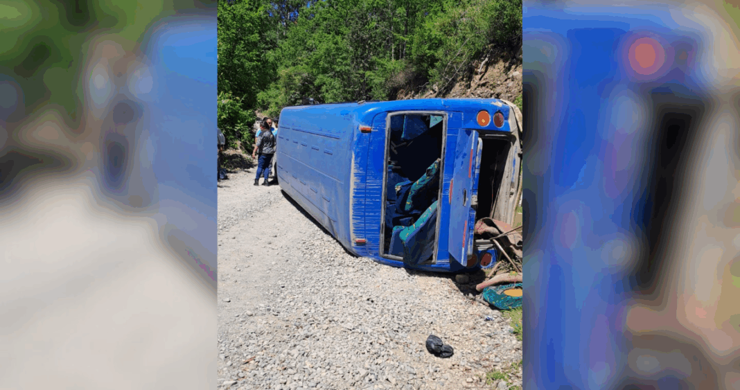 Accidente de bus en Panguipulli: Rápida acción del conductor evita tragedia