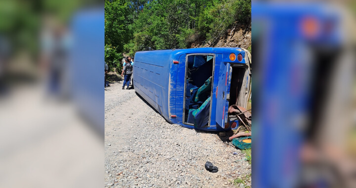 Accidente de bus en Panguipulli: Rápida acción del conductor evita tragedia