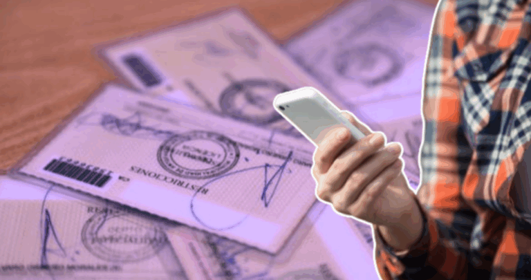 Alerta en San Antonio: Estafadores Venden Licencias de Conducir Falsas por Internet