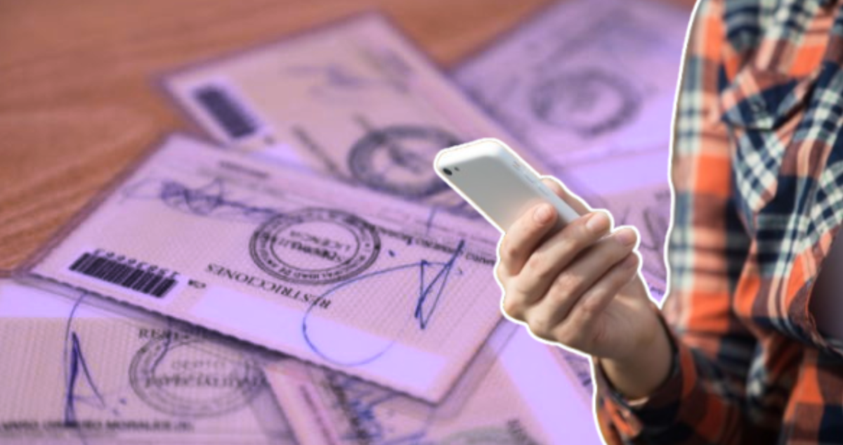 Alerta en San Antonio: Estafadores Venden Licencias de Conducir Falsas por Internet