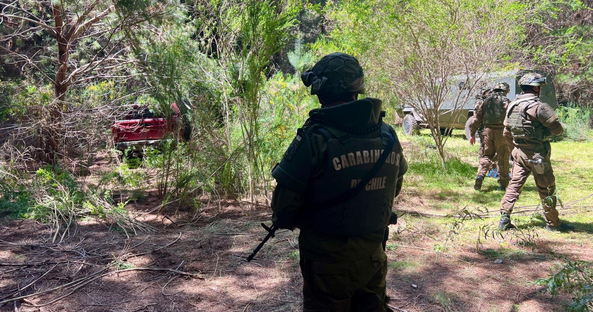 Ataque Incendiario en Contulmo: Carabineros Recuperan Camionetas Robadas