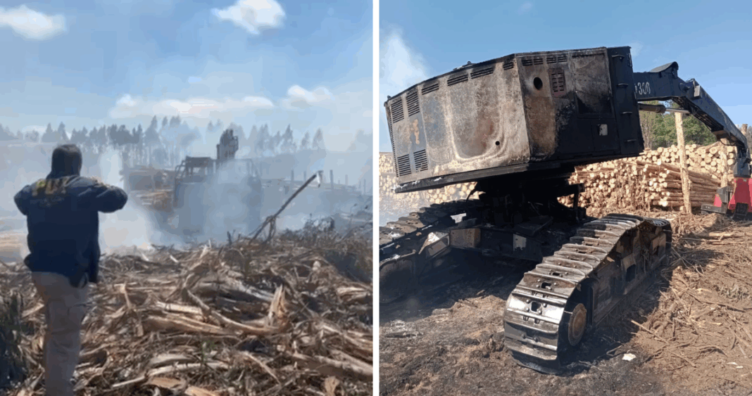 Ataques Incendiarios Preocupan a Autoridades en La Araucanía: Alcalde y Gremios Exigen Restablecer el Estado de Derecho