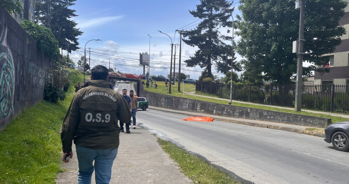 Brutal Ataque Mortal en Plena Calle de Puerto Montt