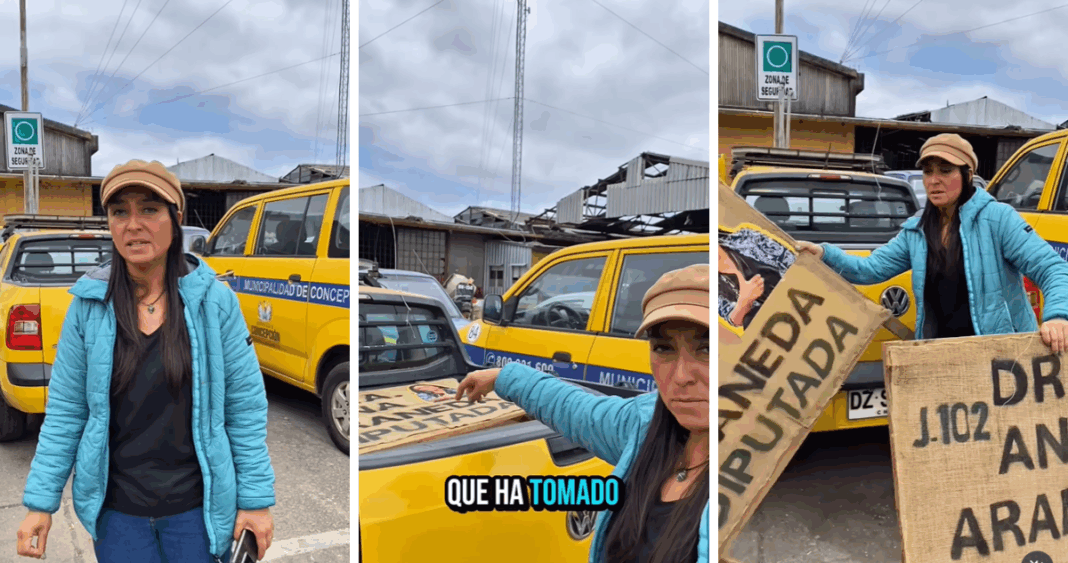 Candidata Acusa Retiro Político de Propaganda Electoral en Concepción