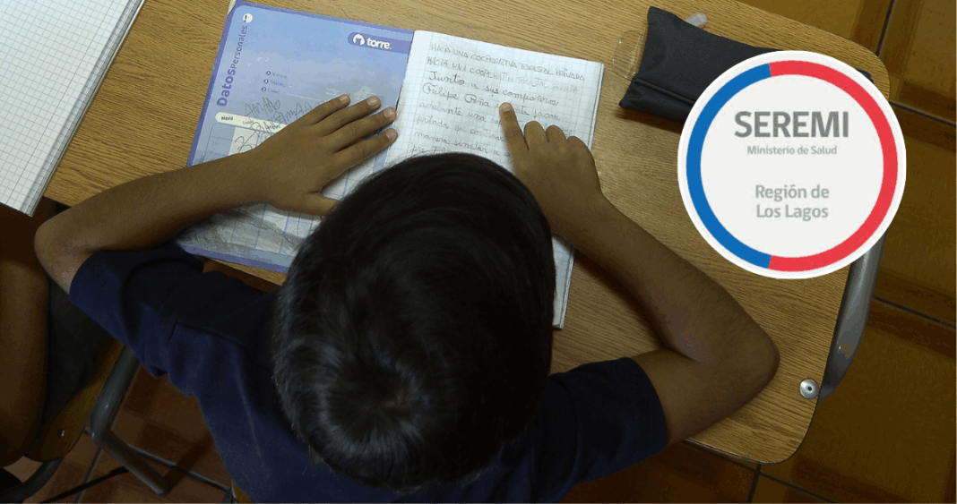 Caso de Meningitis Bacteriana en Colegio de Puerto Montt: Seremi Descarta Riesgo para la Comunidad