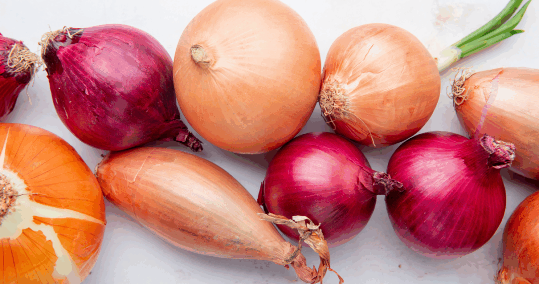 Cómo Domar el Sabor Fuerte de la Cebolla: 3 Métodos Científicos Infalibles
