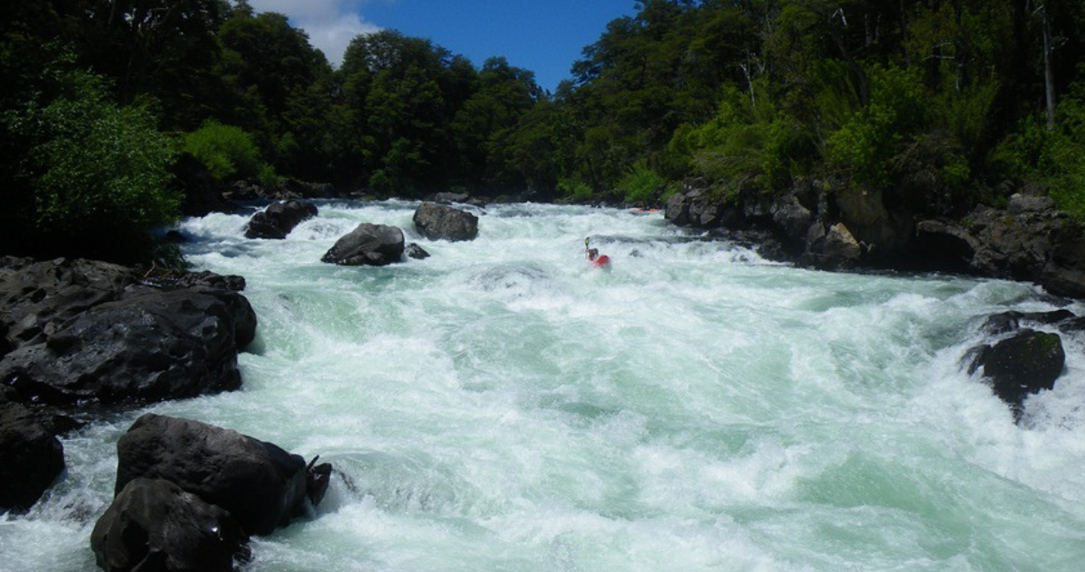 Curarrehue: La Crisis Sanitaria Silenciosa del Río Trancura