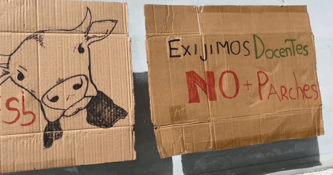 Estudiantes de Medicina Veterinaria de UACh Exigen Soluciones Ante Falta de Docentes