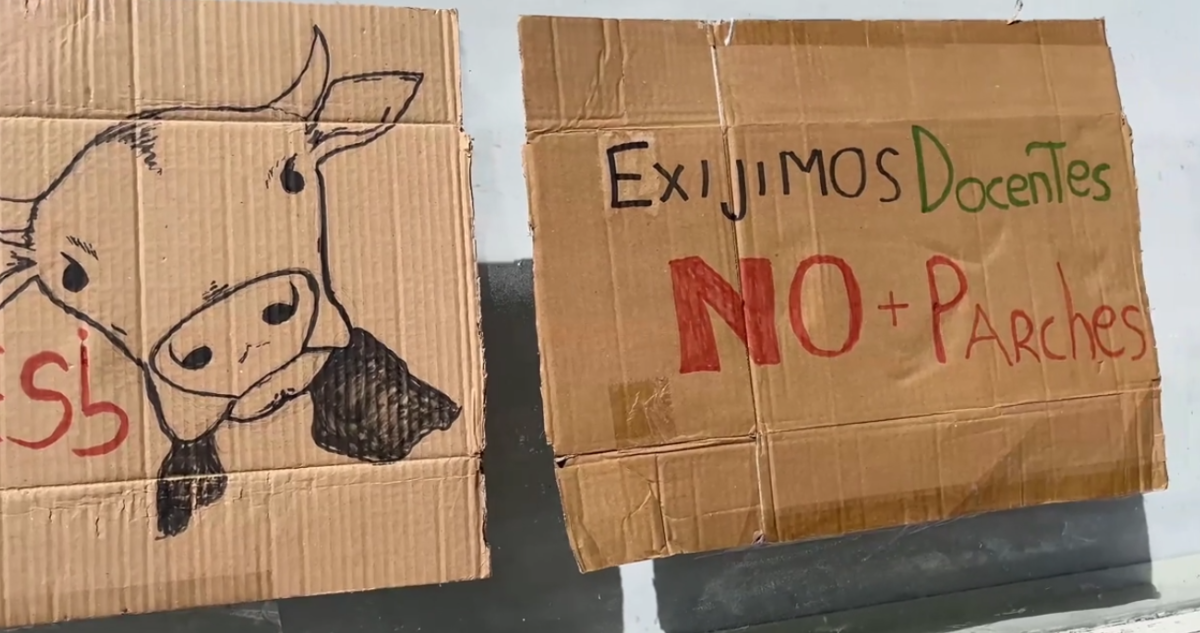 ._temp_Estudiantes de Medicina Veterinaria de UACh Exigen Soluciones Ante Falta de Docentes Estudiantes de Medicina Veterinaria de UACh Exigen Soluciones Ante Falta de Docentes