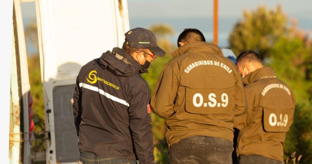 Golpe Maestro: Cómo una Banda Desmanteló el Lucrativo Negocio del Robo de Salmones