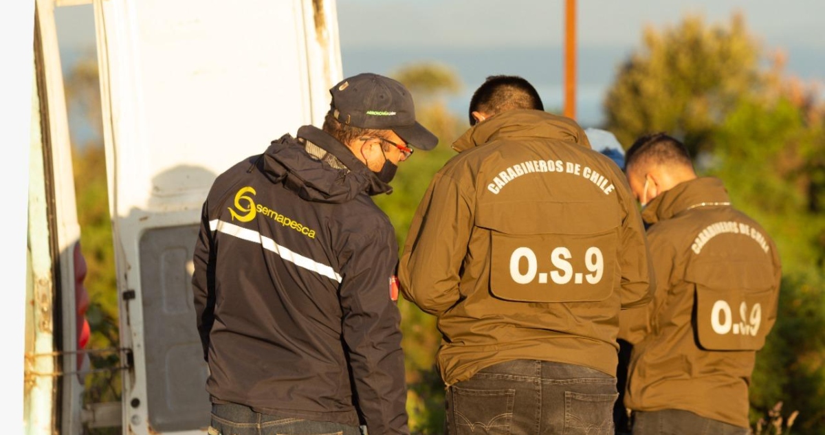 Golpe Maestro: Cómo una Banda Desmanteló el Lucrativo Negocio del Robo de Salmones