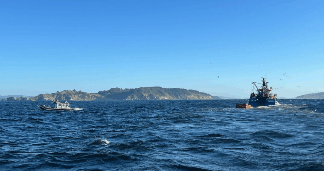 Heroico Rescate en Alta Mar: Cómo la Armada Chilena Salvó a Ocho Tripulantes de Hundimiento Inminente