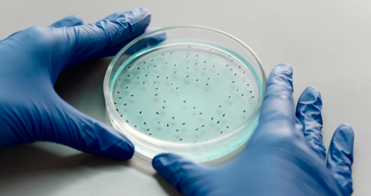 La Ascensión Científica de China: Implicaciones Estratégicas para Occidente