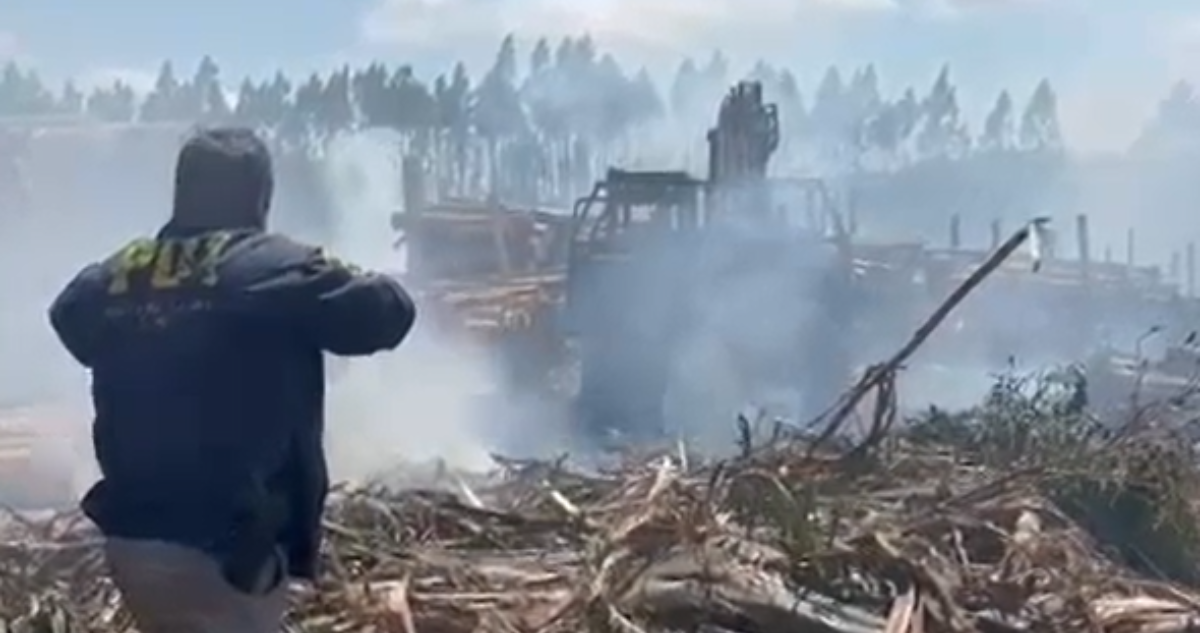 Ola de Ataques Incendiarios Azota La Araucanía: Organizaciones Radicales Reclaman Justicia