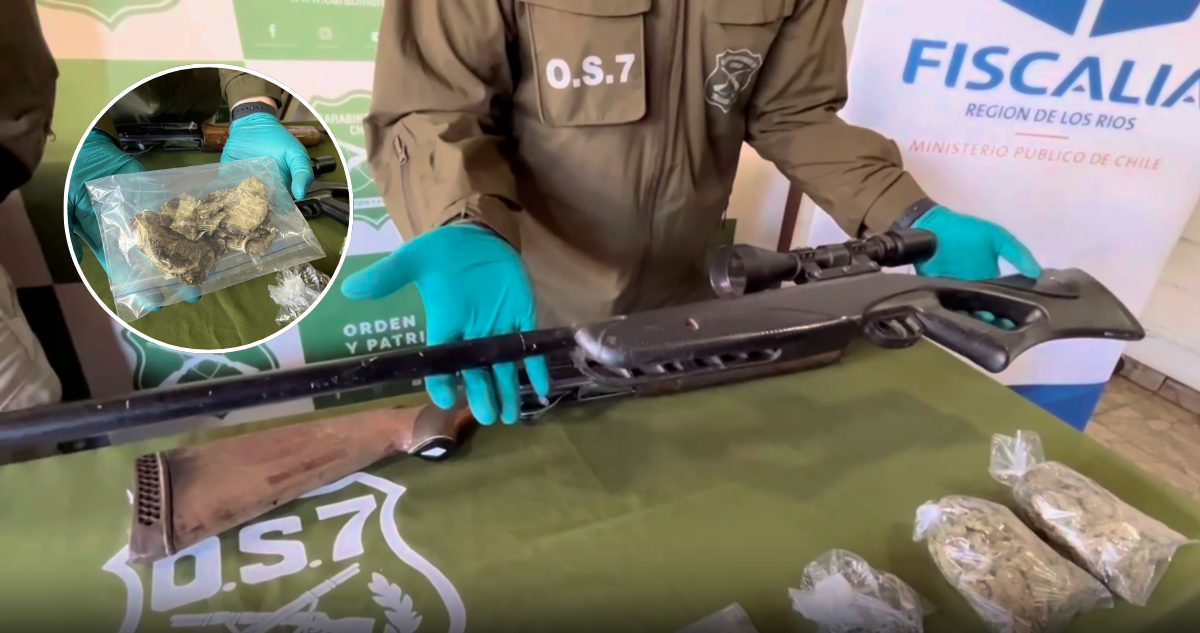 Operativo Antidrogas en Panguipulli: Dos Detenidos, Armas y Millonaria Incautación de Marihuana