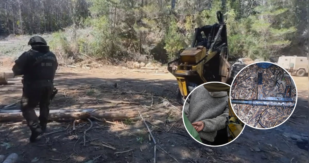 Operativo Antiterrorista en Contulmo: Dos Detenidos y Armas Incautadas