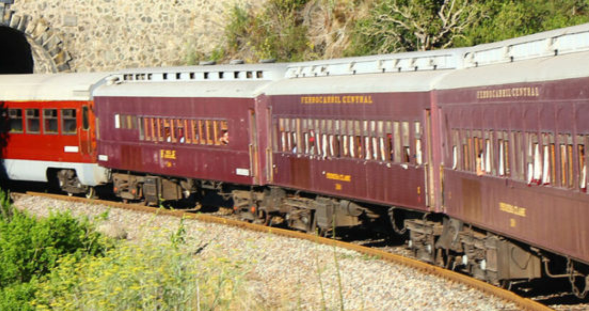 Seguridad a Bordo: Cómo el Tren del Recuerdo Protege a sus Pasajeros en La Araucanía