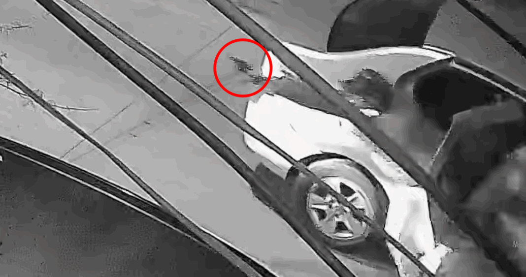 Trabajador Víctima de Brutal Asalto en Conchalí: 16 Puntos en la Cabeza