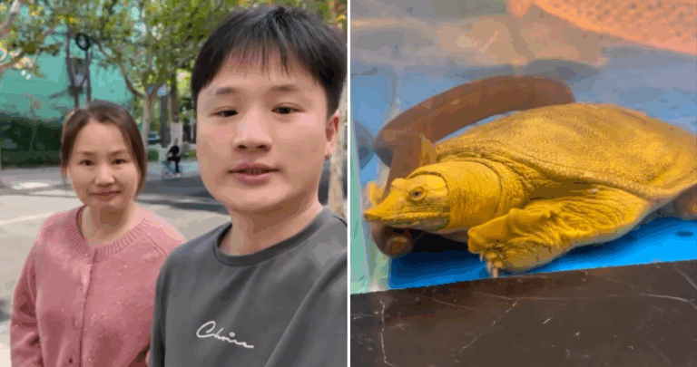 Yuhui Comparte su Herencia Culinaria: Cuando la Tortuga es Más que una Mascota