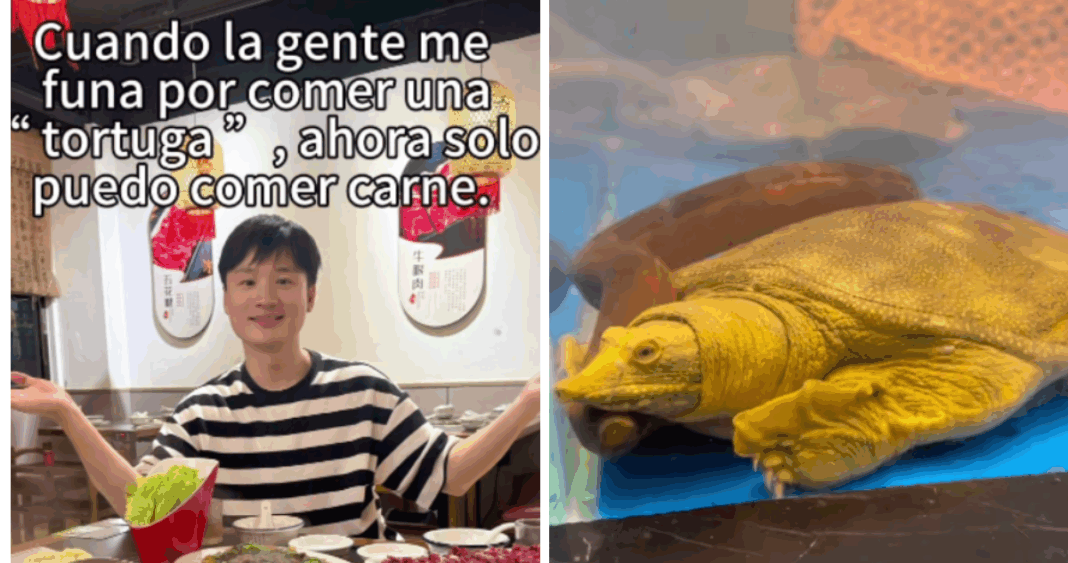 Yuhui Defiende su Cultura Culinaria Ante las Críticas